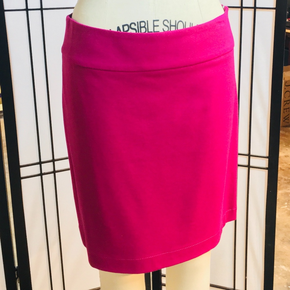 Banana Republic Pencil Skirt